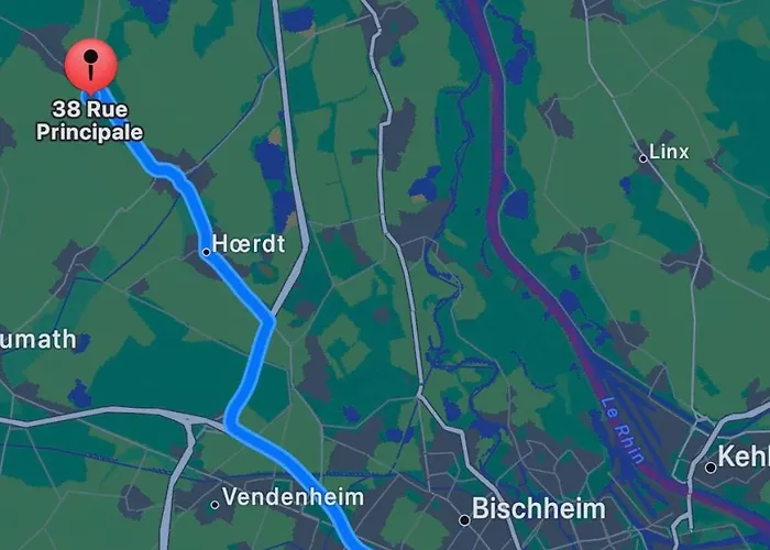 La Doree & Netflix Parking Wifi